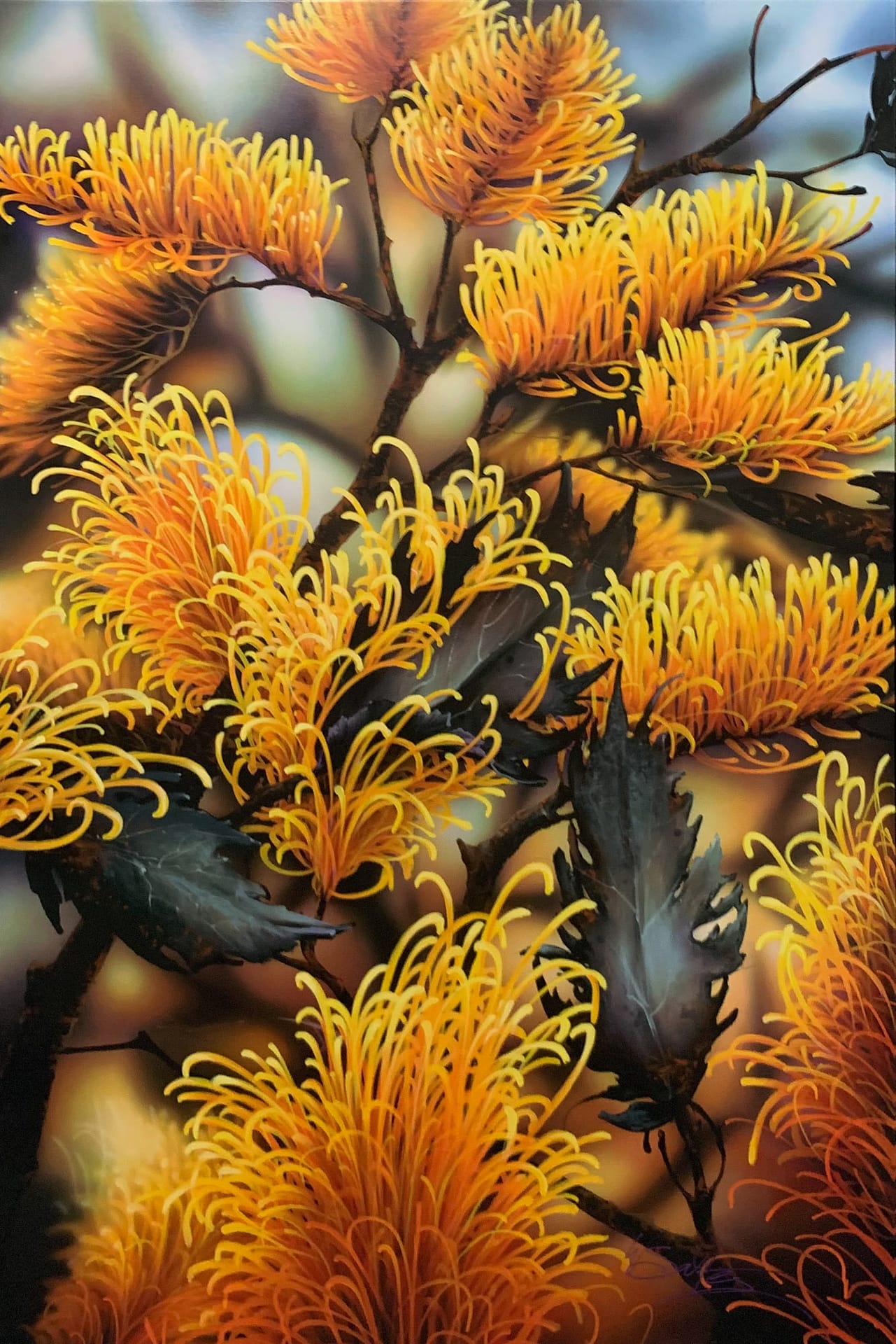 Grevillea Series Warren Salter Art